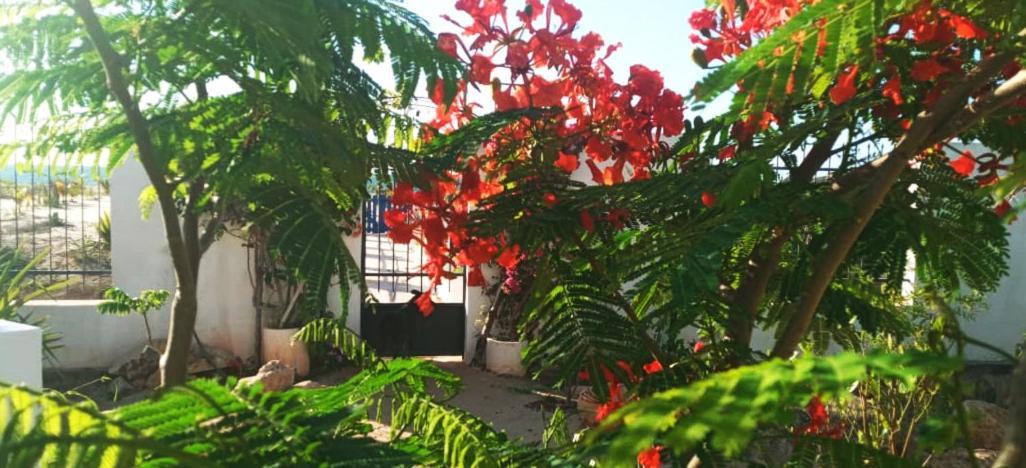 Cytyz Appart Hotel Mahajanga Exterior photo